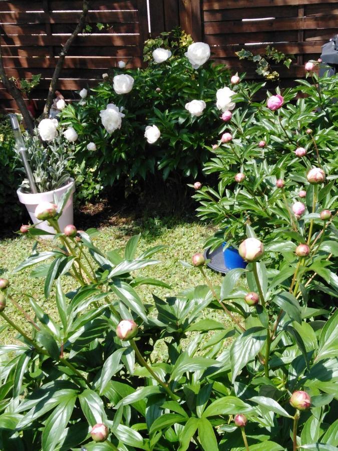 Ferienwohnung Mit Kleinem Garten Sonnenbühl Exteriör bild
