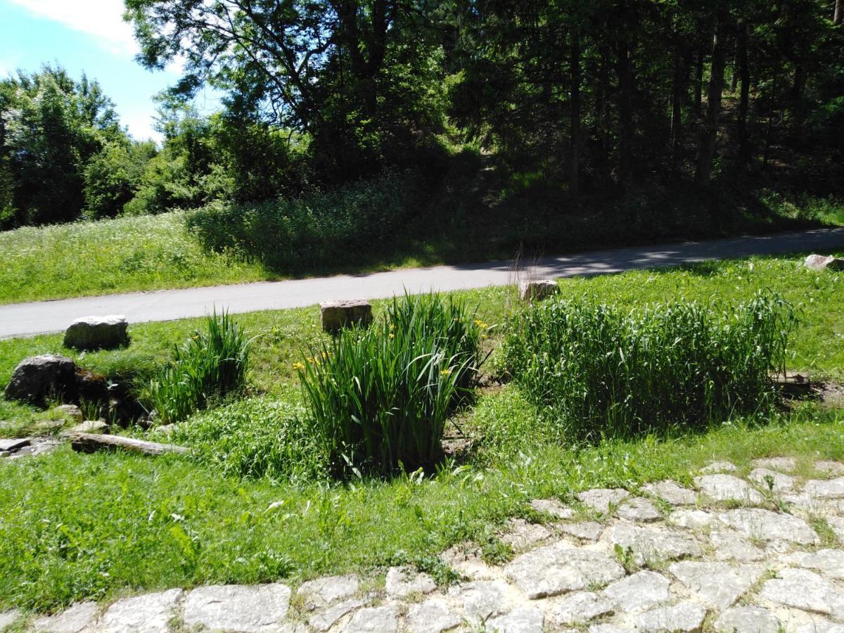 Ferienwohnung Mit Kleinem Garten Sonnenbühl Exteriör bild