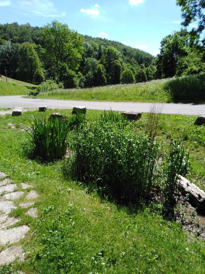 Ferienwohnung Mit Kleinem Garten Sonnenbühl Exteriör bild