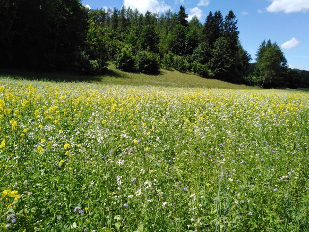 Ferienwohnung Mit Kleinem Garten Sonnenbühl Exteriör bild